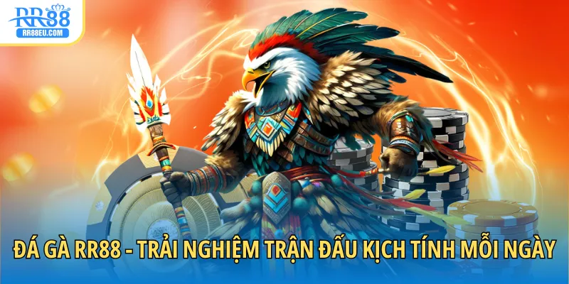 Đá gà RR88 trãi nghiệm trận đấu kịch tính mỗi ngày